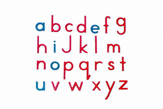 PHONOGRAM - Small Movable Alphabet Print - Red with Blue Vowels (Letters Only)